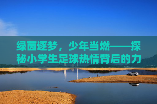 绿茵逐梦,少年当燃——探秘小学生足球热情背后的力量