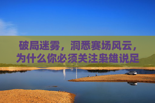 破局迷雾,洞悉赛场风云,为什么你必须关注枭雄说足球公众号?