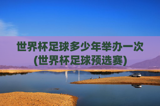 世界杯足球多少年举办一次(世界杯足球预选赛)