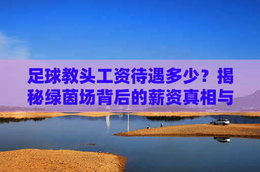 足球教头工资待遇多少?揭秘绿茵场背后的薪资真相与生存法则