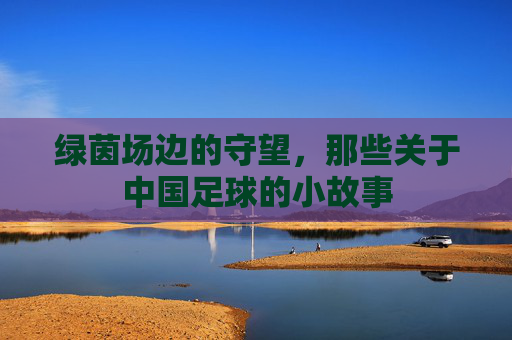 绿茵场边的守望,那些关于中国足球的小故事