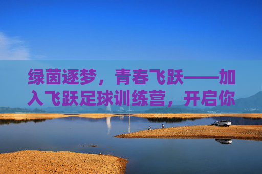 绿茵逐梦,青春飞跃——加入飞跃足球训练营,开启你的足球人生