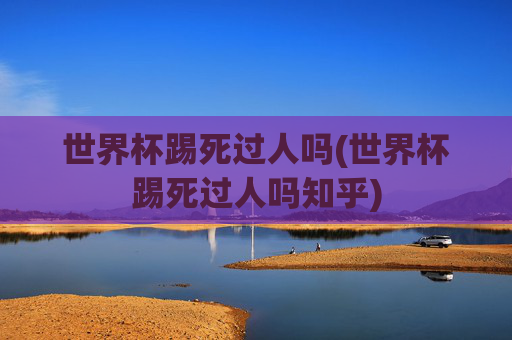 世界杯踢死过人吗(世界杯踢死过人吗知乎)
