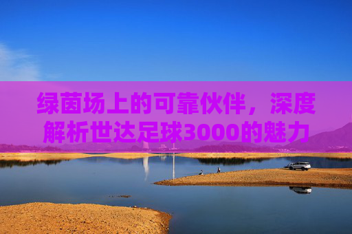 绿茵场上的可靠伙伴,深度解析世达足球3000的魅力
