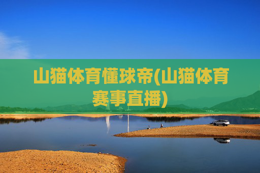 山猫体育懂球帝(山猫体育赛事直播)