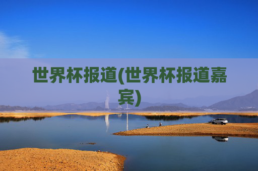 世界杯报道(世界杯报道嘉宾)