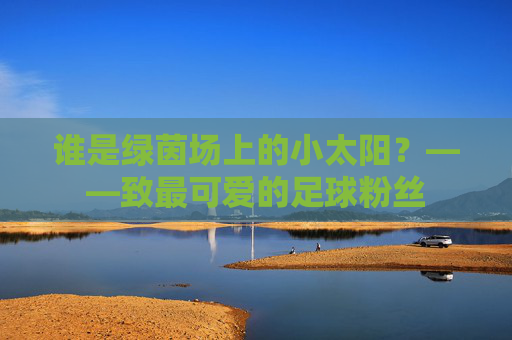 谁是绿茵场上的小太阳？——致最可爱的足球粉丝