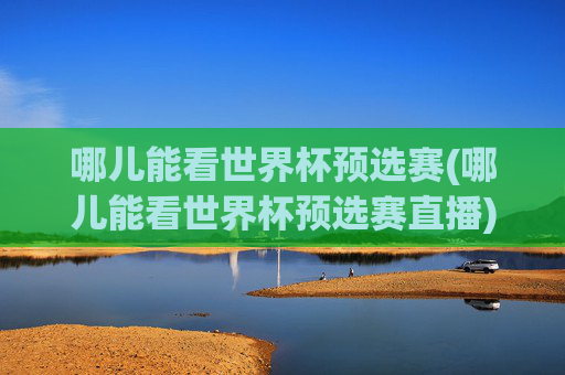 哪儿能看世界杯预选赛(哪儿能看世界杯预选赛直播)