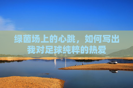 绿茵场上的心跳,如何写出我对足球纯粹的热爱