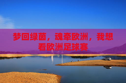 梦回绿茵,魂牵欧洲,我想看欧洲足球赛