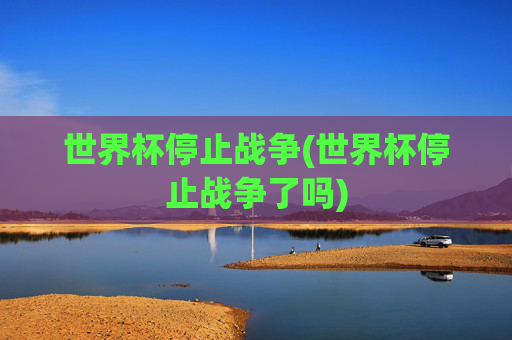 世界杯停止战争(世界杯停止战争了吗)