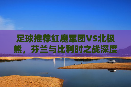 足球推荐红魔军团VS北极熊,芬兰与比利时之战深度前瞻与策略分析
