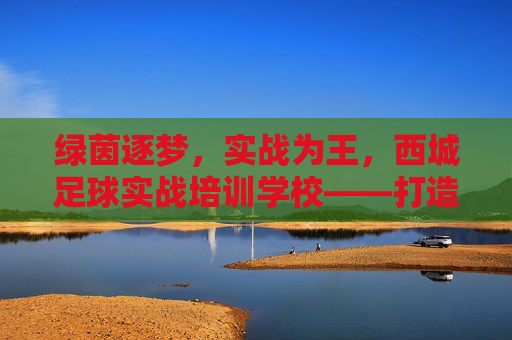 绿茵逐梦,实战为王,西城足球实战培训学校——打造未来足球之星的摇篮