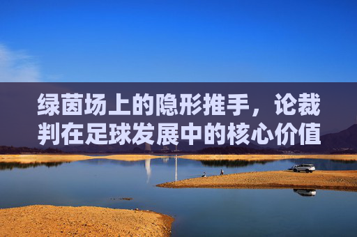 绿茵场上的隐形推手,论裁判在足球发展中的核心价值