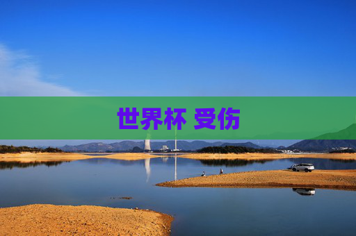 世界杯 受伤