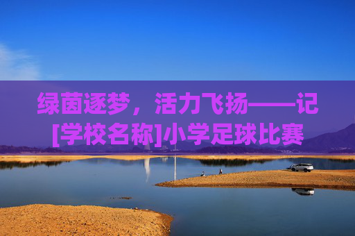 绿茵逐梦，活力飞扬——记[学校名称]小学足球比赛