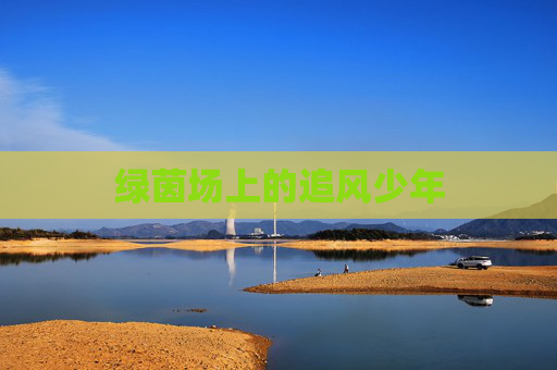 绿茵场上的追风少年