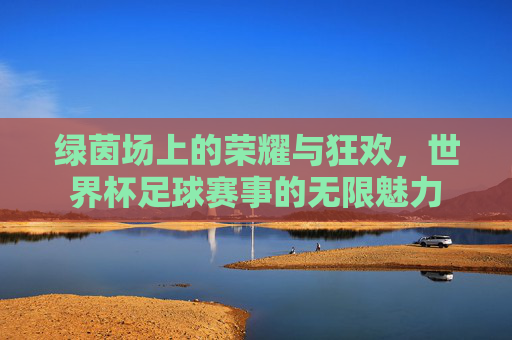 绿茵场上的荣耀与狂欢,世界杯足球赛事的无限魅力