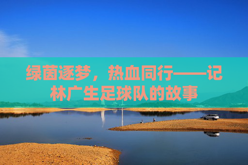绿茵逐梦，热血同行——记林广生足球队的故事