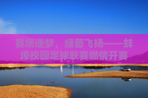赛场逐梦,绿茵飞扬——蚌埠校园足球联赛燃情开赛