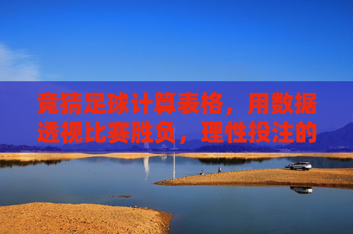 竞猜足球计算表格,用数据透视比赛胜负,理性投注的利器