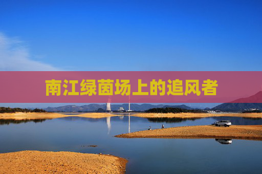 南江绿茵场上的追风者