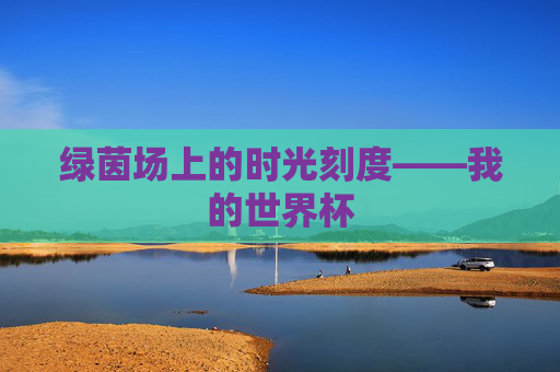 绿茵场上的时光刻度——我的世界杯