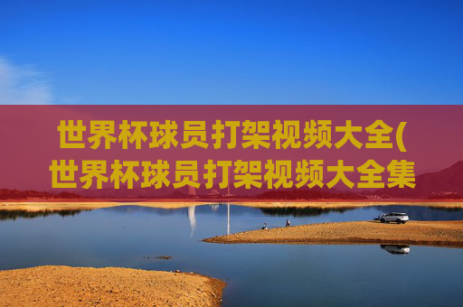 世界杯球员打架视频大全(世界杯球员打架视频大全集)