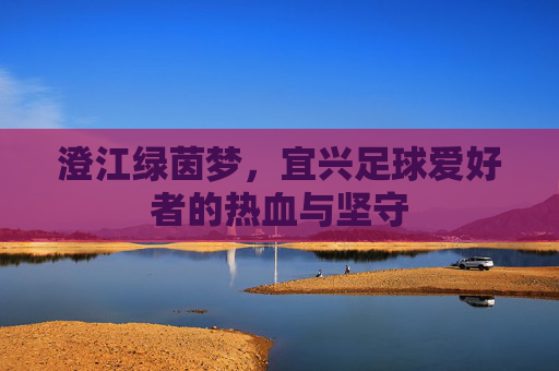 澄江绿茵梦,宜兴足球爱好者的热血与坚守