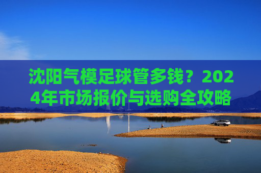 沈阳气模足球管多钱?2024年市场报价与选购全攻略