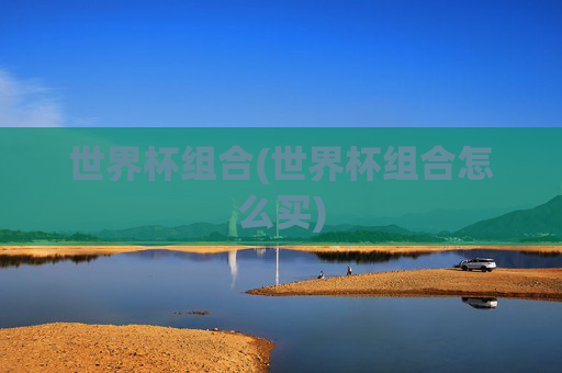 世界杯组合(世界杯组合怎么买)