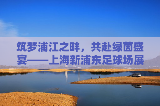 筑梦浦江之畔,共赴绿茵盛宴——上海新浦东足球场展望
