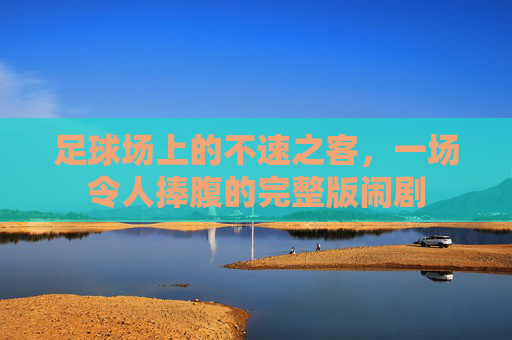 足球场上的不速之客,一场令人捧腹的完整版闹剧