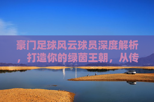 豪门足球风云球员深度解析,打造你的绿茵王朝,从传奇巨星到潜力新星