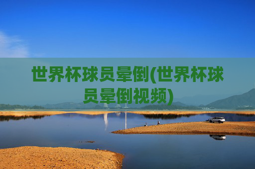 世界杯球员晕倒(世界杯球员晕倒视频)