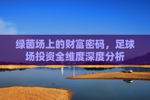 绿茵场上的财富密码,足球场投资全维度深度分析