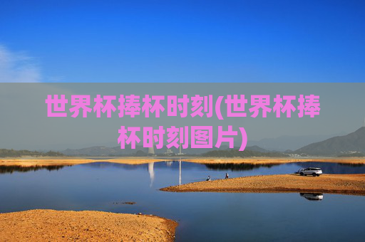 世界杯捧杯时刻(世界杯捧杯时刻图片)