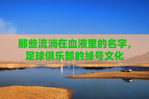 那些流淌在血液里的名字,足球俱乐部的绰号文化
