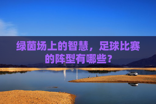绿茵场上的智慧,足球比赛的阵型有哪些?