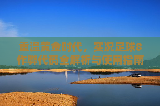 重温黄金时代,实况足球8作弊代码全解析与使用指南