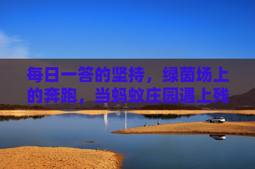 每日一答的坚持,绿茵场上的奔跑,当蚂蚁庄园遇上残奥足球