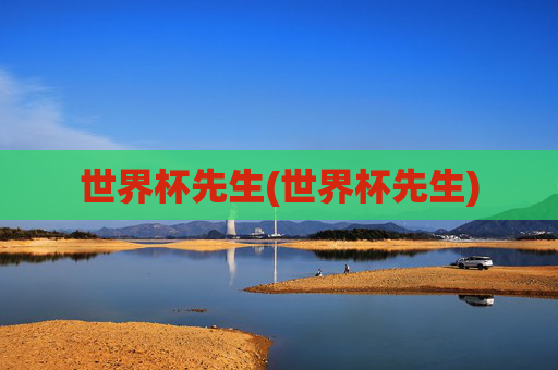 世界杯先生(世界杯先生)