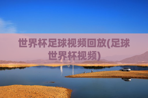 世界杯足球视频回放(足球世界杯视频)