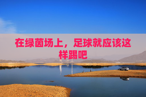 在绿茵场上,足球就应该这样踢吧