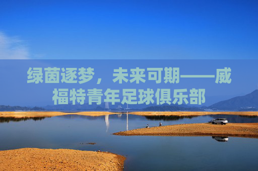 绿茵逐梦,未来可期——威福特青年足球俱乐部