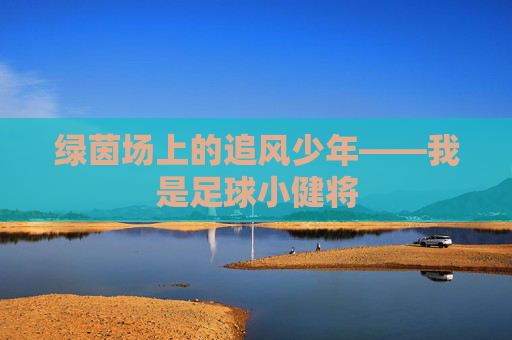 绿茵场上的追风少年——我是足球小健将