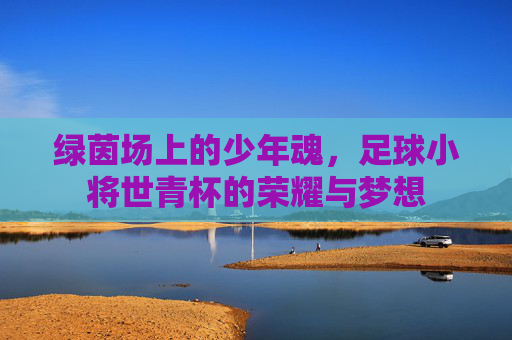 绿茵场上的少年魂,足球小将世青杯的荣耀与梦想