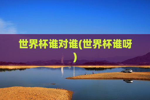 世界杯谁对谁(世界杯谁呀)