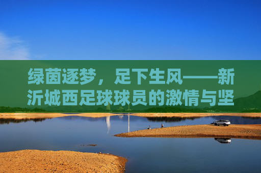 绿茵逐梦,足下生风——新沂城西足球球员的激情与坚持