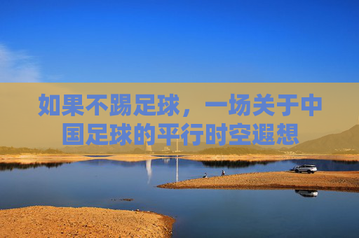 如果不踢足球,一场关于中国足球的平行时空遐想